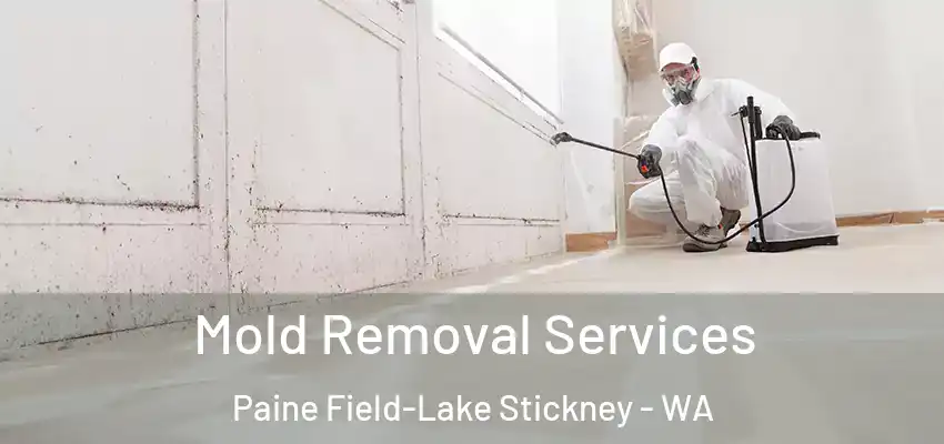  Mold Removal Services Paine Field-Lake Stickney - WA