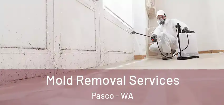  Mold Removal Services Pasco - WA