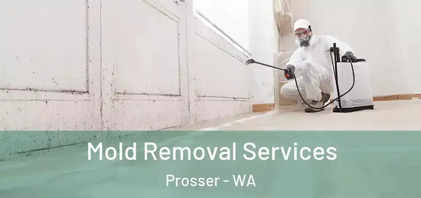  Mold Removal Services Prosser - WA