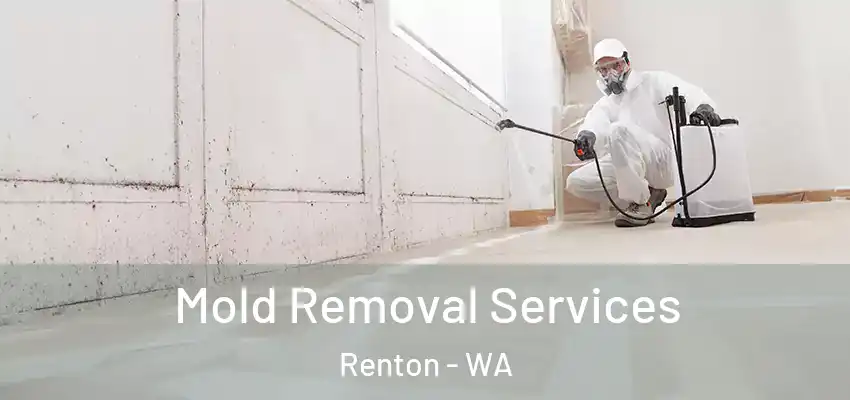 Mold Removal Services Renton - WA