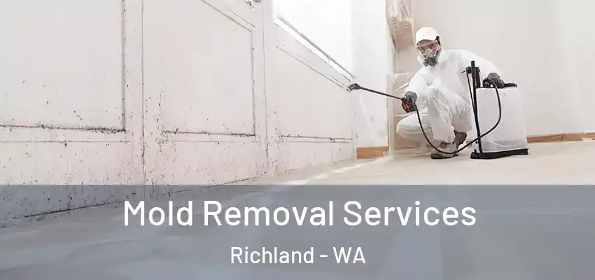 Mold Removal Services Richland - WA