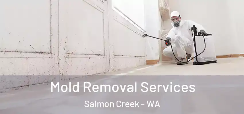  Mold Removal Services Salmon Creek - WA