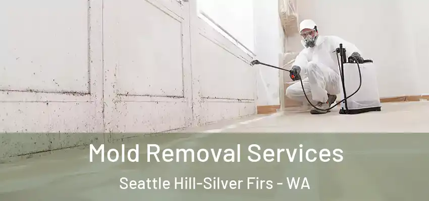 Mold Removal Services Seattle Hill-Silver Firs - WA