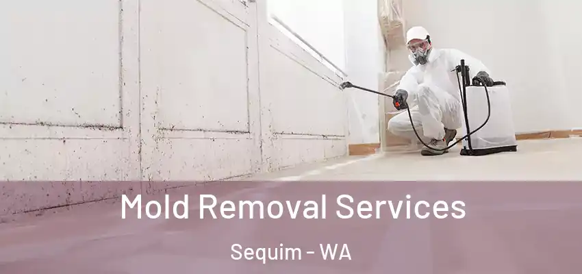  Mold Removal Services Sequim - WA