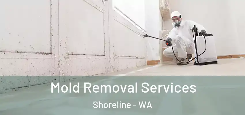 Mold Removal Services Shoreline - WA