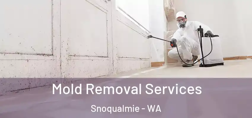  Mold Removal Services Snoqualmie - WA
