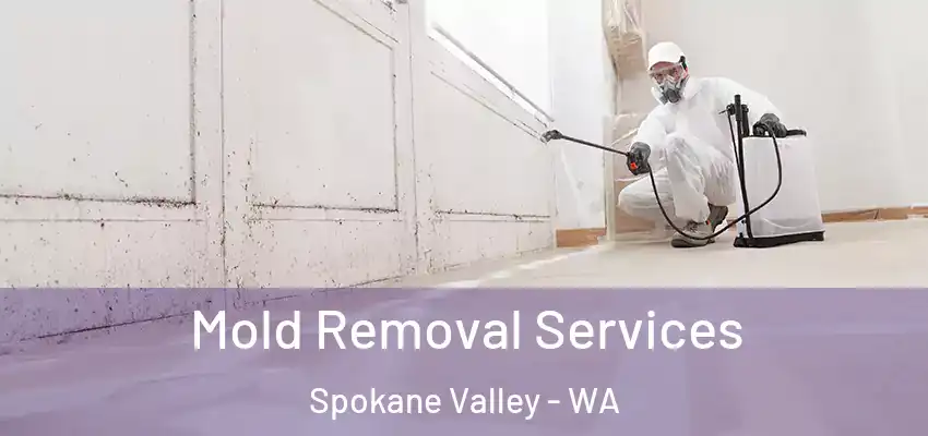 Mold Removal Services Spokane Valley - WA