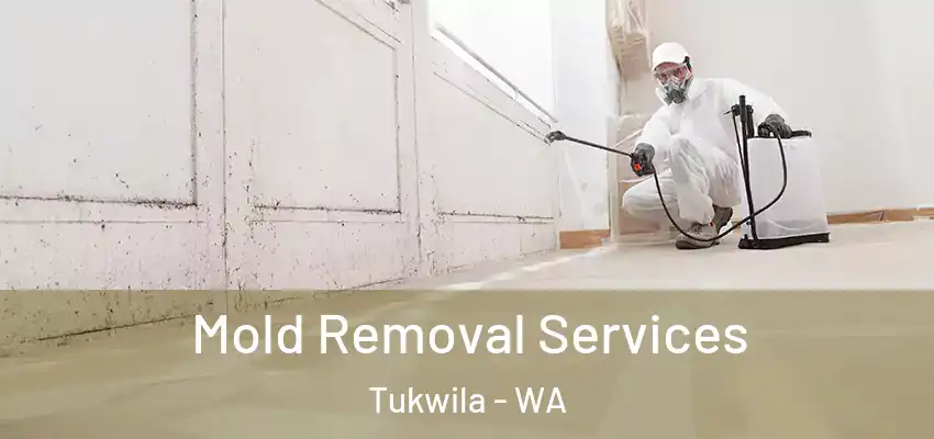  Mold Removal Services Tukwila - WA