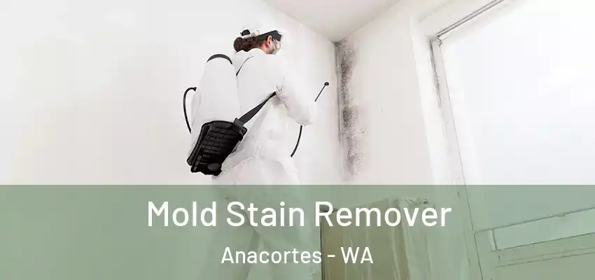  Mold Stain Remover Anacortes - WA