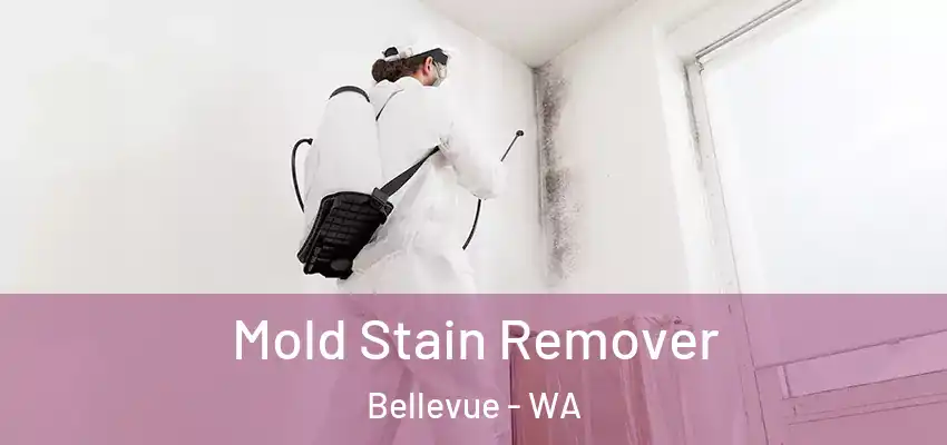  Mold Stain Remover Bellevue - WA