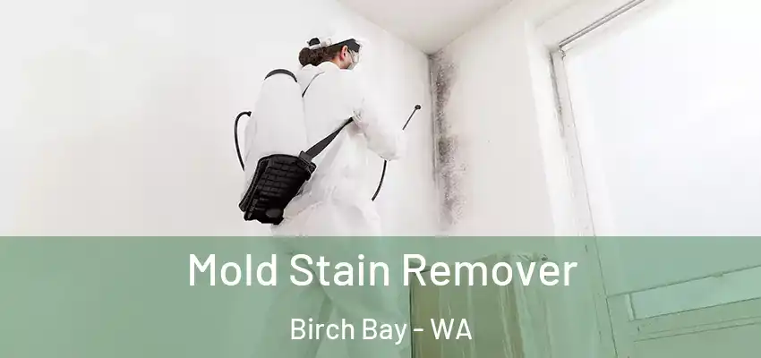  Mold Stain Remover Birch Bay - WA