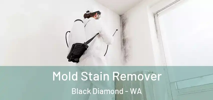  Mold Stain Remover Black Diamond - WA