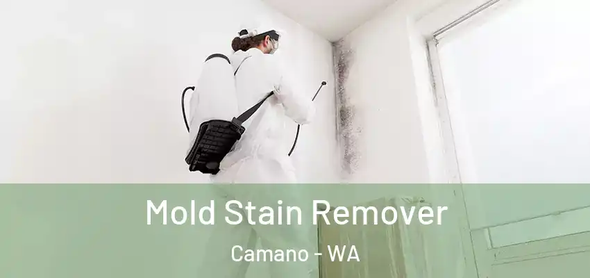  Mold Stain Remover Camano - WA