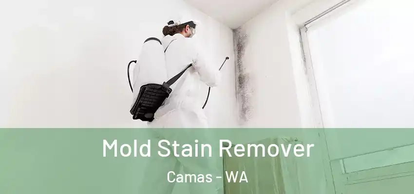 Mold Stain Remover Camas - WA