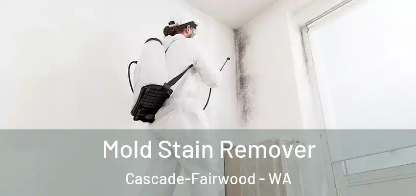  Mold Stain Remover Cascade-Fairwood - WA