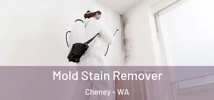 Mold Stain Remover Cheney - WA