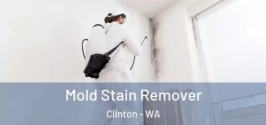  Mold Stain Remover Clinton - WA