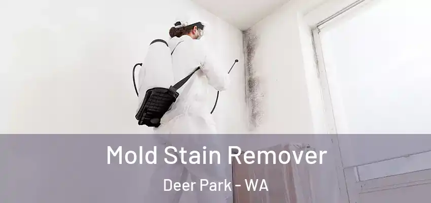  Mold Stain Remover Deer Park - WA