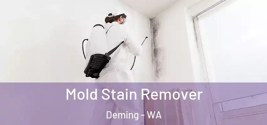  Mold Stain Remover Deming - WA