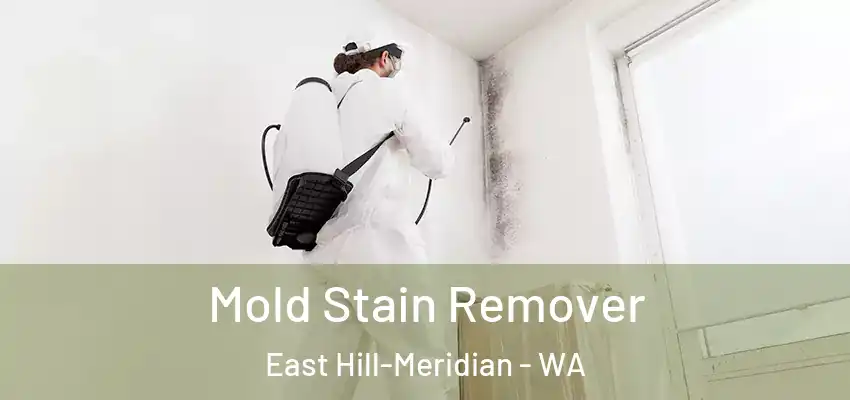  Mold Stain Remover East Hill-Meridian - WA