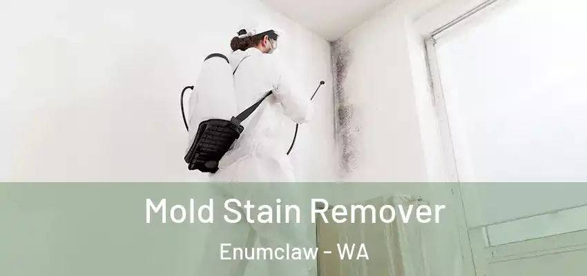  Mold Stain Remover Enumclaw - WA