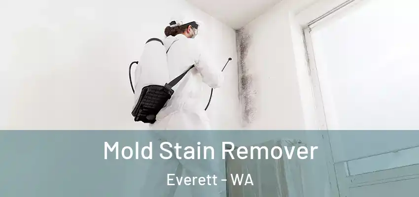  Mold Stain Remover Everett - WA