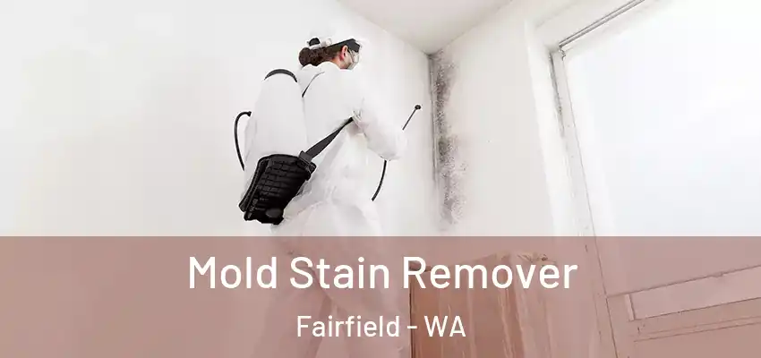  Mold Stain Remover Fairfield - WA