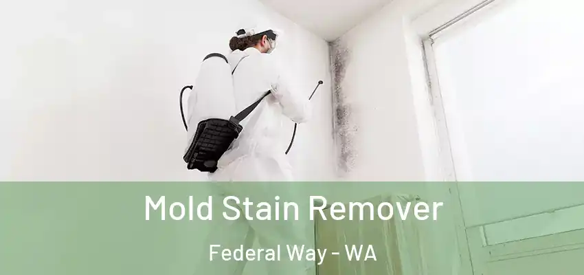 Mold Stain Remover Federal Way - WA