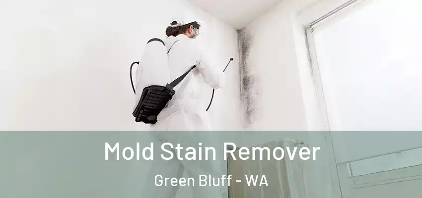  Mold Stain Remover Green Bluff - WA