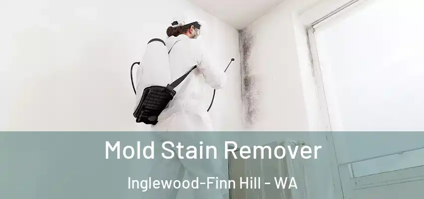  Mold Stain Remover Inglewood-Finn Hill - WA