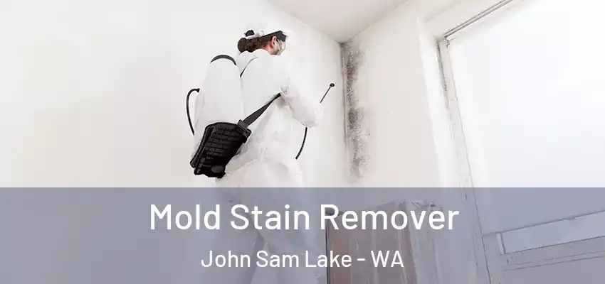  Mold Stain Remover John Sam Lake - WA