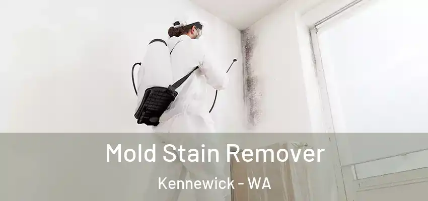  Mold Stain Remover Kennewick - WA