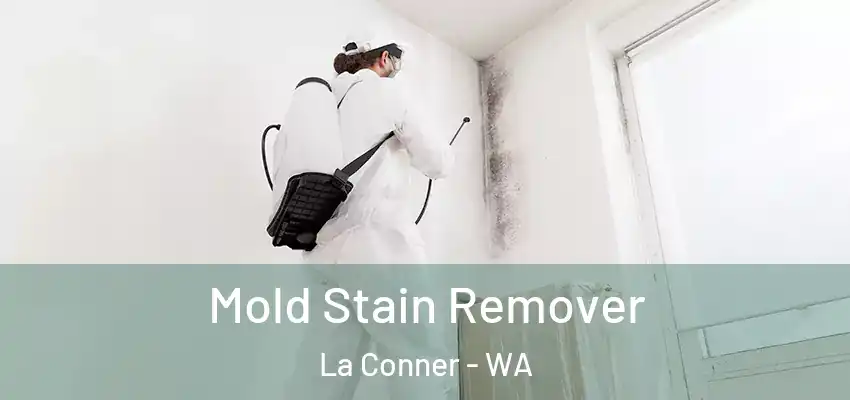  Mold Stain Remover La Conner - WA