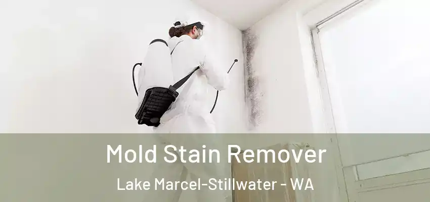 Mold Stain Remover Lake Marcel-Stillwater - WA