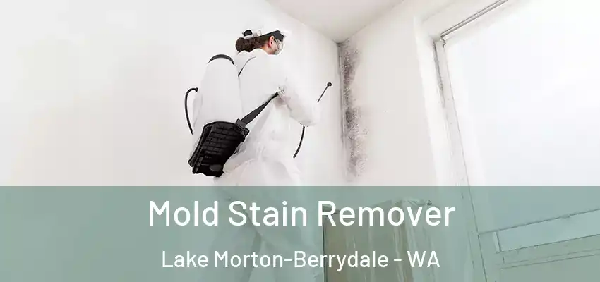  Mold Stain Remover Lake Morton-Berrydale - WA