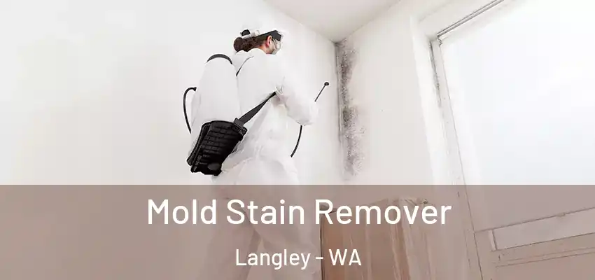 Mold Stain Remover Langley - WA