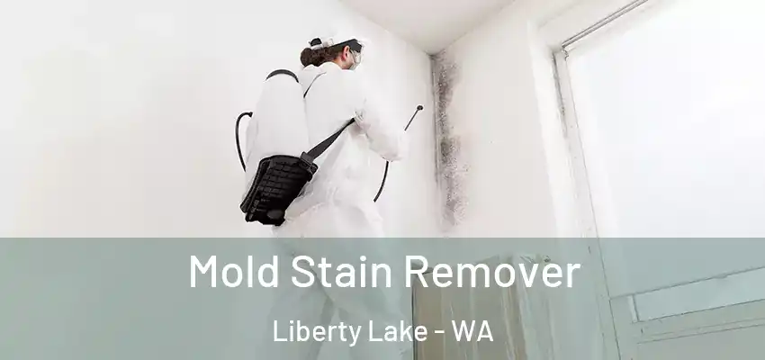  Mold Stain Remover Liberty Lake - WA
