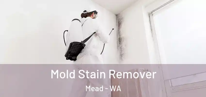  Mold Stain Remover Mead - WA