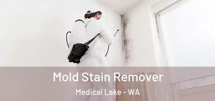 Mold Stain Remover Medical Lake - WA