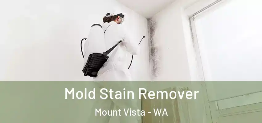  Mold Stain Remover Mount Vista - WA