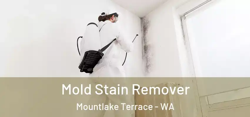 Mold Stain Remover Mountlake Terrace - WA