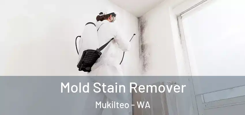 Mold Stain Remover Mukilteo - WA