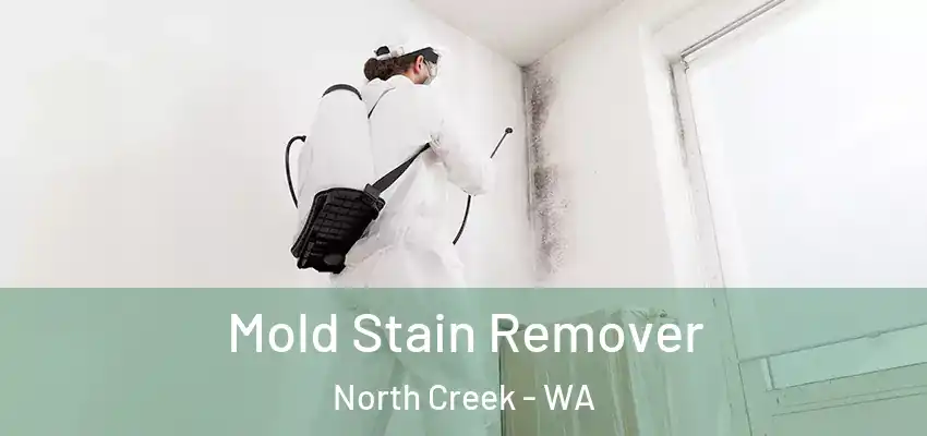  Mold Stain Remover North Creek - WA