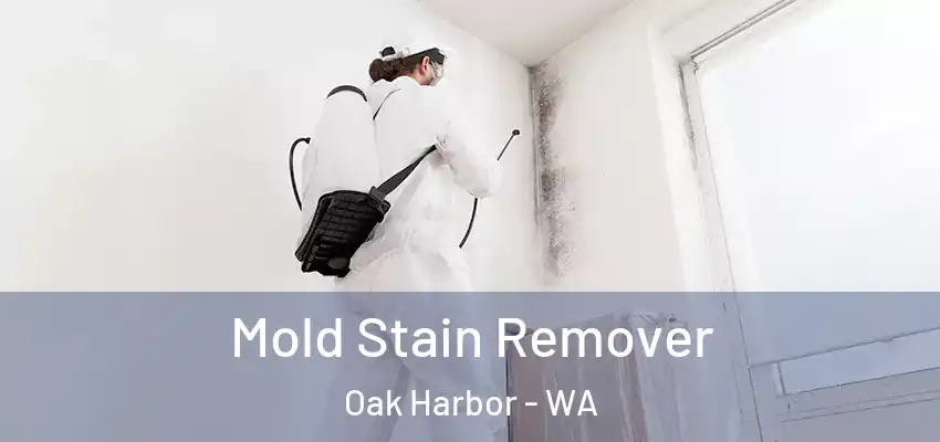  Mold Stain Remover Oak Harbor - WA