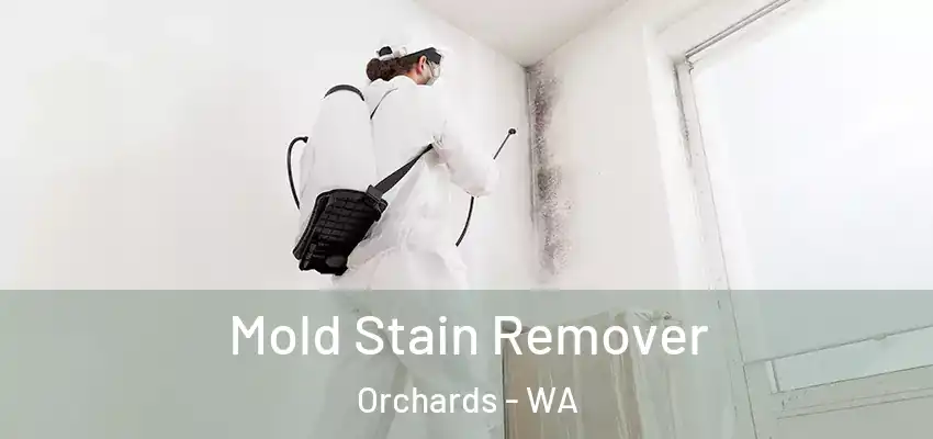 Mold Stain Remover Orchards - WA