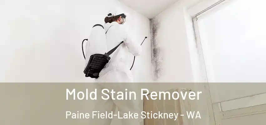  Mold Stain Remover Paine Field-Lake Stickney - WA