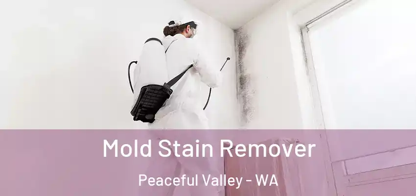 Mold Stain Remover Peaceful Valley - WA