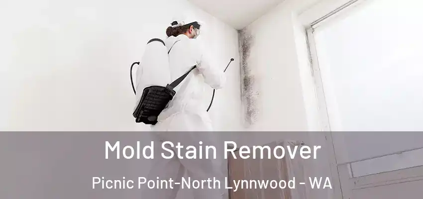  Mold Stain Remover Picnic Point-North Lynnwood - WA