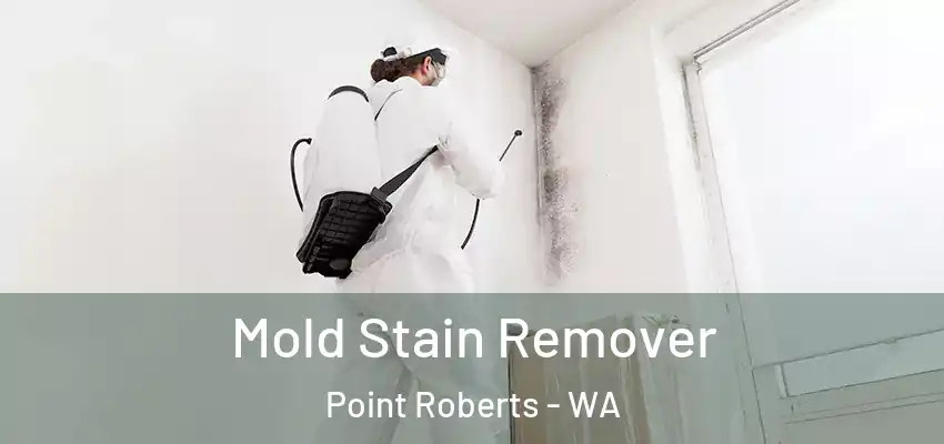  Mold Stain Remover Point Roberts - WA