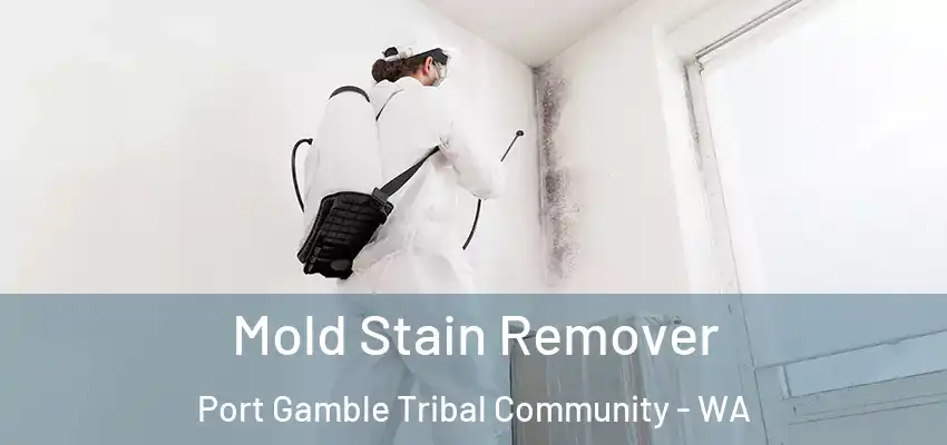  Mold Stain Remover Port Gamble Tribal Community - WA